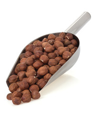 nuts filbert isolated on white