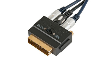 Video adapter and  two golden rca