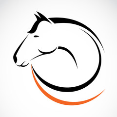 Vector head of horse on a white background