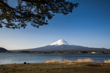 Mt. Fuji Japan