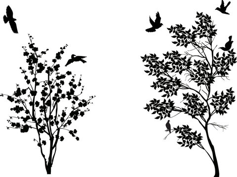 birds near two small trees isolated on white