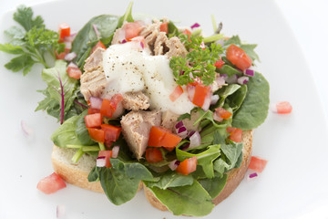 Open Tuna Salad Sandwich