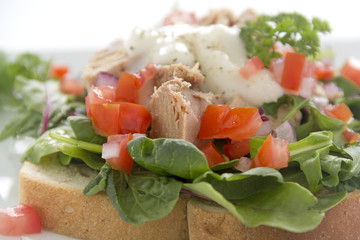Open Tuna Salad Sandwich
