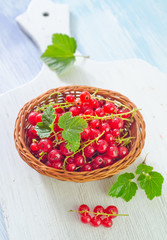 red currant