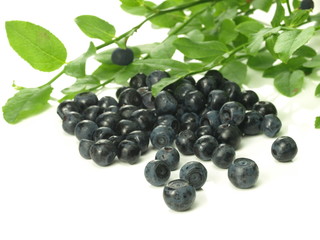 Blueberries,isolated