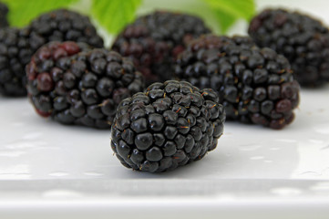 Brombeeren