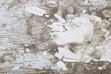 Legno scorticato