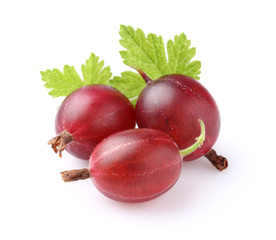 Red gooseberry with leaves - obrazy, fototapety, plakaty