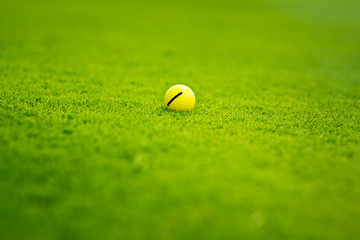 Golf ball on the golf course