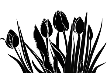Door stickers Flowers black and white tulips flowers it is isolated