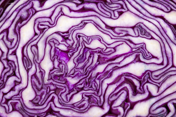 Red cabbage