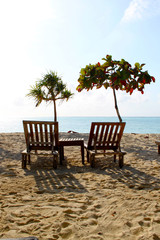 Zanzibar White Sandy Beach And Wooden Chairs