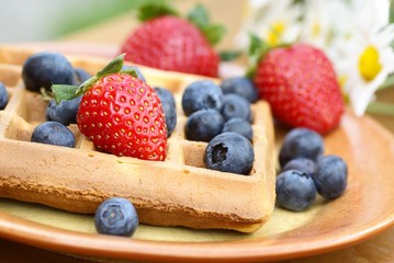Close-up of plate with waffle and fresh fruits on garden table