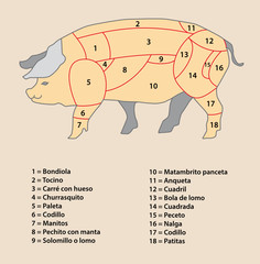 carne de cerdo