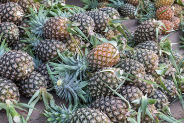 A group of fresh pineapples.