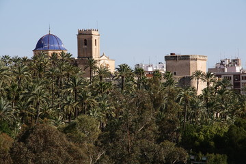 ELCHE OASIS DEL MEDITERRANEO