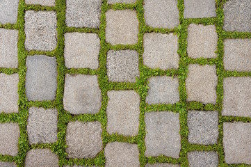 Natursteinpflaster mit Bewuchs