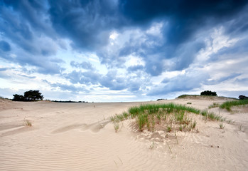 Fototapeta na wymiar stormy clouds over sand dune
