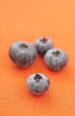 Blueberry
