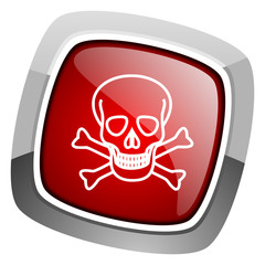 skull icon