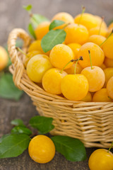 Yellow plums in the basket