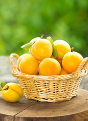 Fresh organic apricot