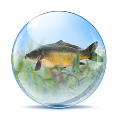 Glaskugel 25