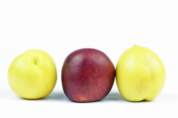 nectarine and yellow nectarines