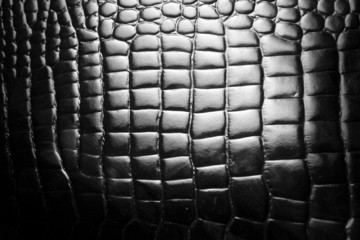 Black leather snake texture