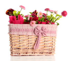 Fototapeta na wymiar Beautiful spring flowers in basket isolated on white