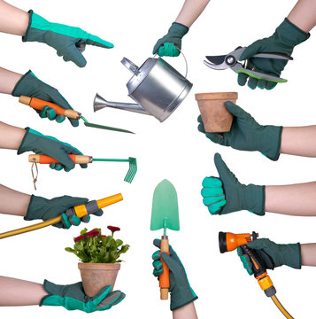 Hand in a glove holding gardening tools