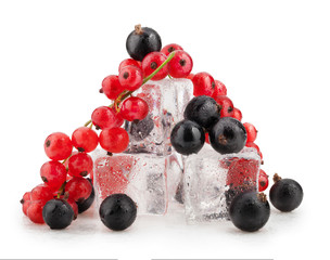 currant
