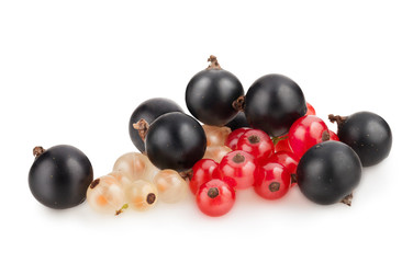 currant