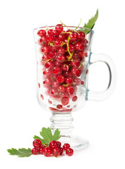 ripe red currants in a glass
