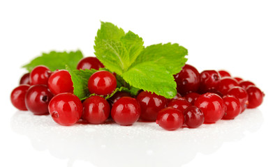 Ripe red cranberries, isolated on white.