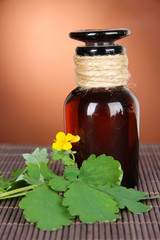Blooming Celandine with medicine bottles