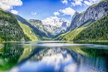 Wall murals Best sellers Landscapes Gosausee