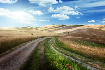 Fototapeta na wymiar Droga między polami Toskanii, Włochy