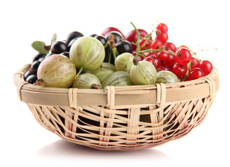 Different summer berries in basket isolated on white