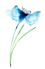Blue Colored Cornflowers - 53941050