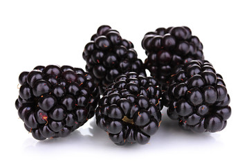 Sweet blackberry isolated on white