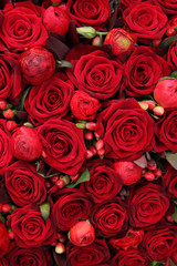 ranunculus, berries and roses in a group