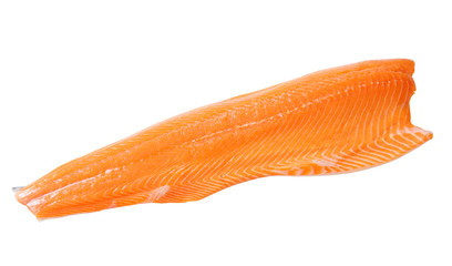 Raw salmon fillet