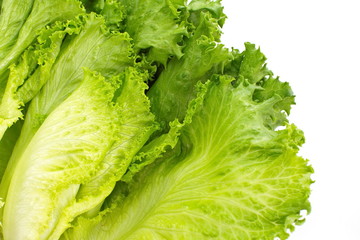 Fresh green lettuce isolated on a white