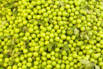 display green plum market