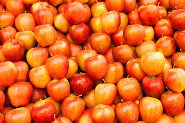 display of apples to the market