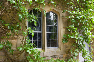 Fototapeta na wymiar Stone window with climbing plants