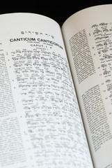 The interlinear Bible - Hebrew, Greek and English