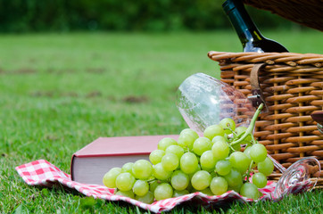 ein picknick auf einer wiese
