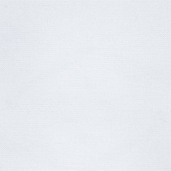 white canvas background